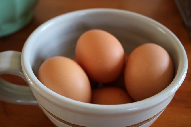 20180121110205_IMG_5856