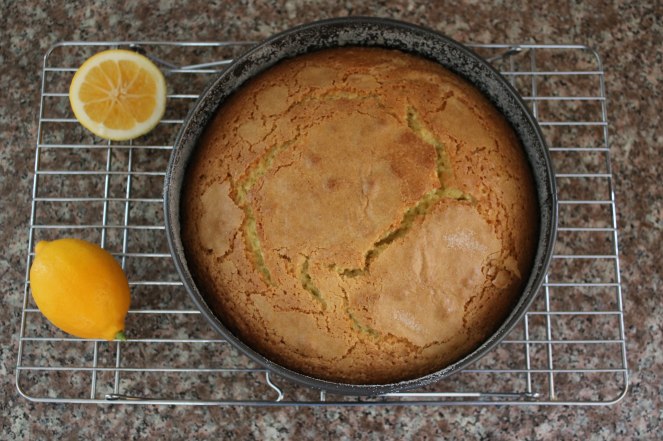 20180331114738_IMG_6339