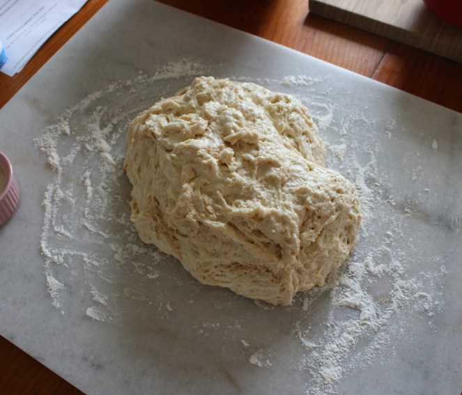 20180415111447_IMG_6526