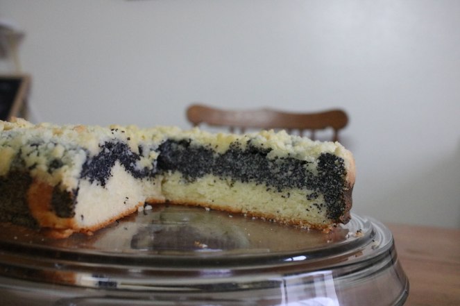 20180424071653_IMG_6621