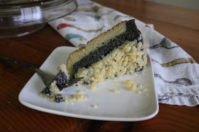 20180424071937_IMG_6635